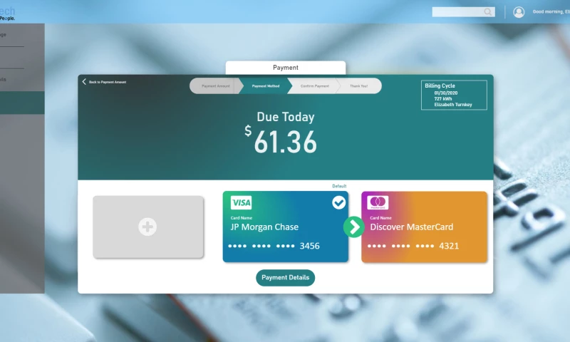 Payment Usage and Outage Portal
