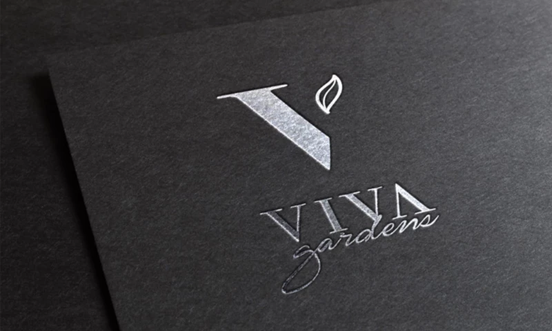 Bolds Creative - VIVA