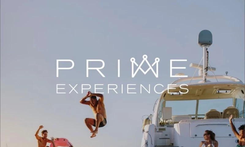 Global Grid Agency - PRIME EXPERIENCES