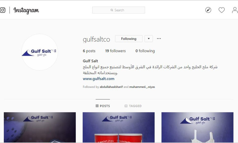 ThinkDirect.me - Gulf Salt Social Media