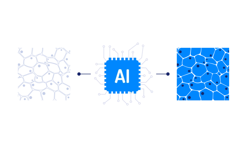 Medical Image-to-Image translation