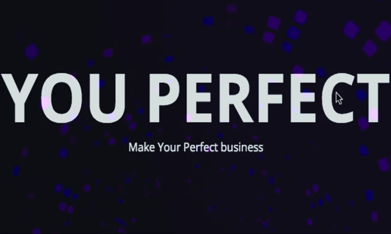 You Perfect
