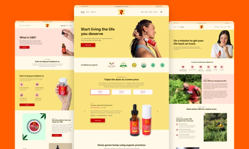 Transforming Fiddlers CBDs digital presence