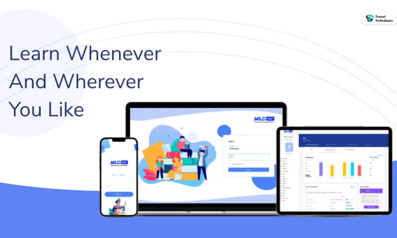 Terasol Technologies - Learning Management System Software Development