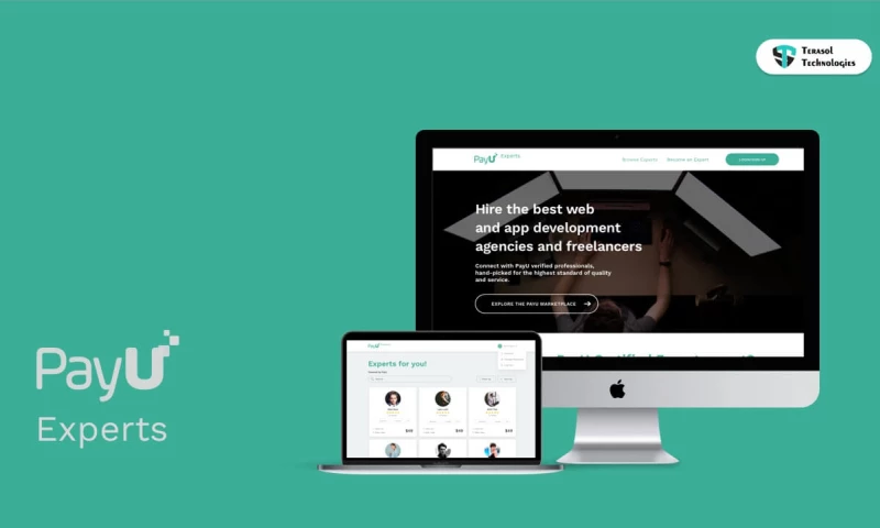 Empowering PayU with Expert Hiring Marketplace