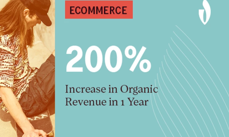 Revenue Up 200% for Large Online Retailer