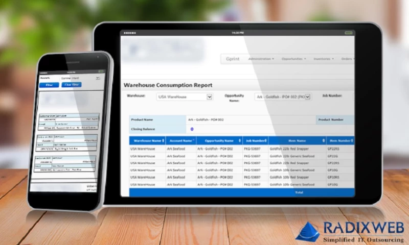 Radixweb - MS CRM Customization