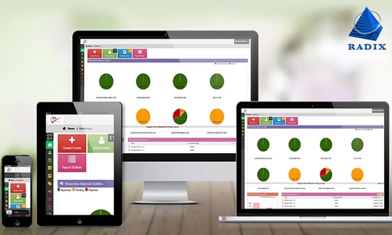 Radixweb - Dynamic Webforms Solution