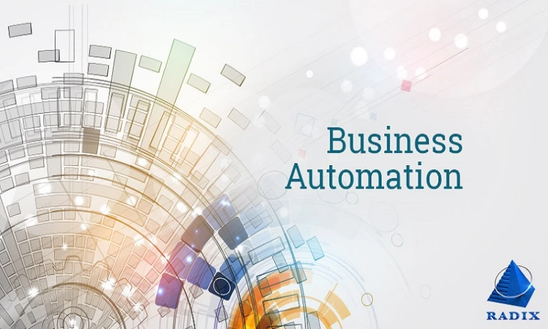 Radixweb - Web-based Order Processing System
