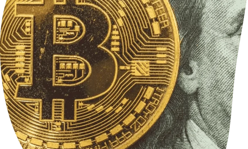 ChatBot Development - RED BUS