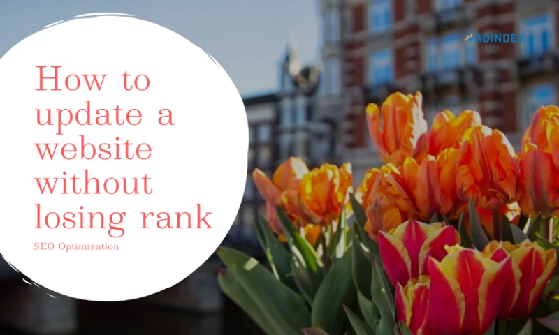 ADINDEX - How to update a website without losing rank