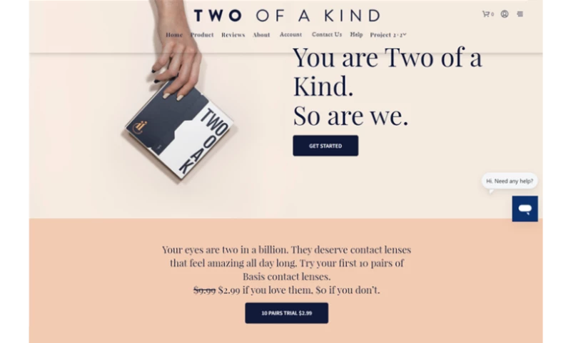 Two of a Kind: Custom Subscription Model