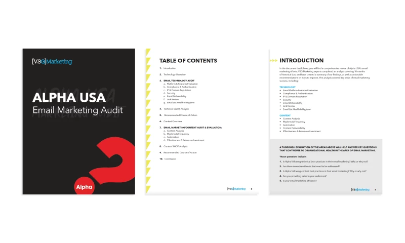 Alpha USA Email Audit