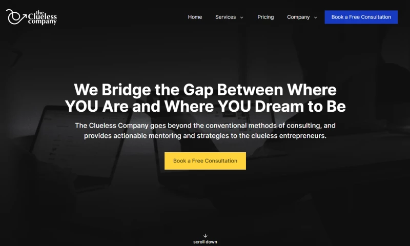 theCSS Agency - Logo and Website for The Clueless Company