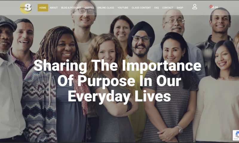 Optimal Websites - Purpose 8 Institute Website