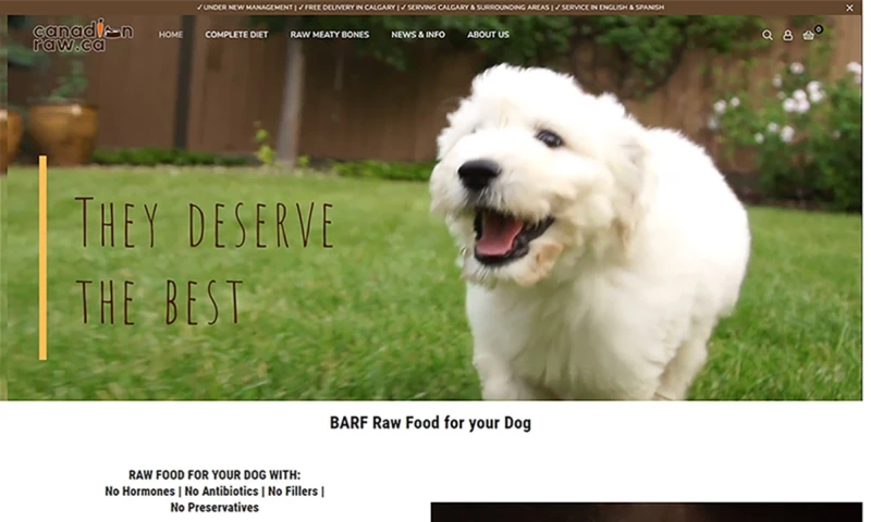 Infinite Ideas Web Design - Dog Food Company
