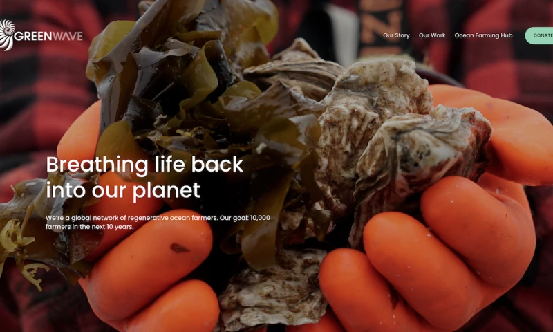 The Impactful - Rebrand & Website Design