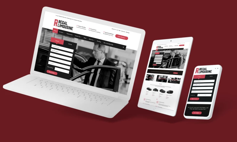 Verbsz Marketing - Digital Marketing Services For Limousine Company