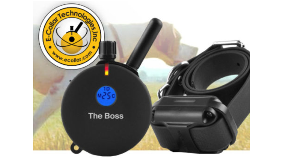 ECollar Technologies Worldclass dog training products. Digital
