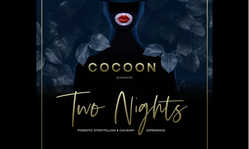 Bionic Egg - Branding Cocoon