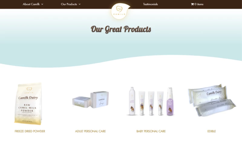 Shopify Online Store Development