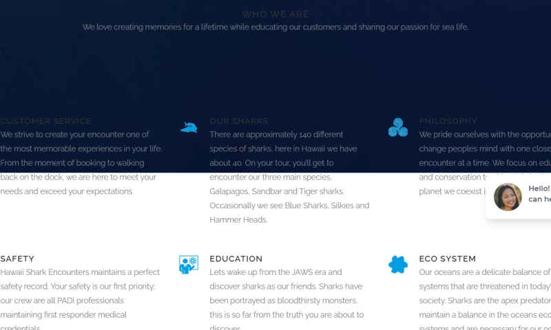 BKThemes - Hawaii Shark