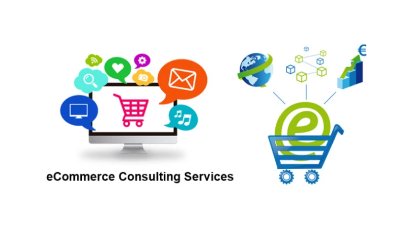 Ecommerce Consulting