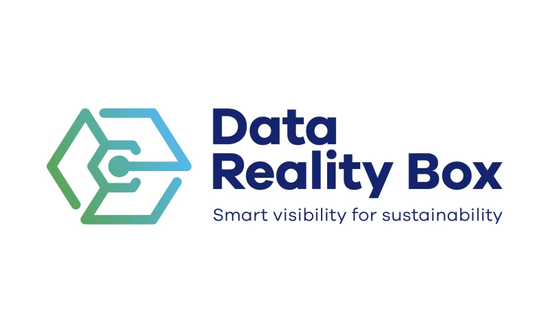 DATA REALITY BOX - Branding from scratch!