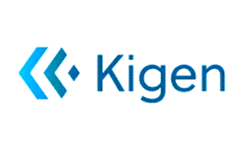 Cylogy - Kigen Website Build, Maintenance & Optimization