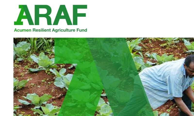 Webbing Stone - New website for American NGO