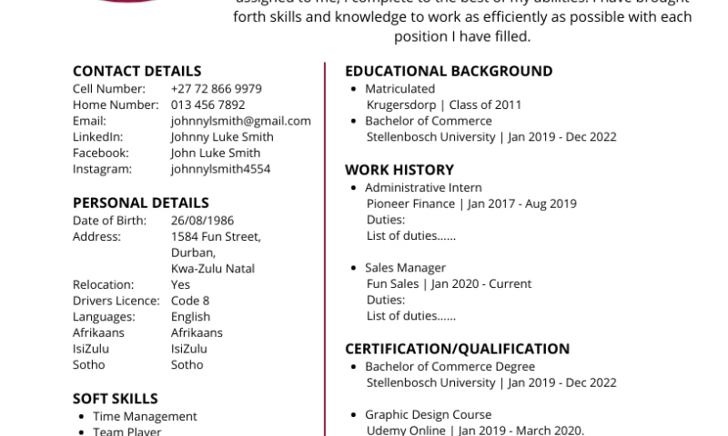 Chick my Resume - Resume Designs
