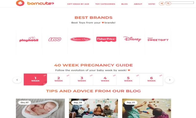 PurpleFire - Authority site in the Baby industry