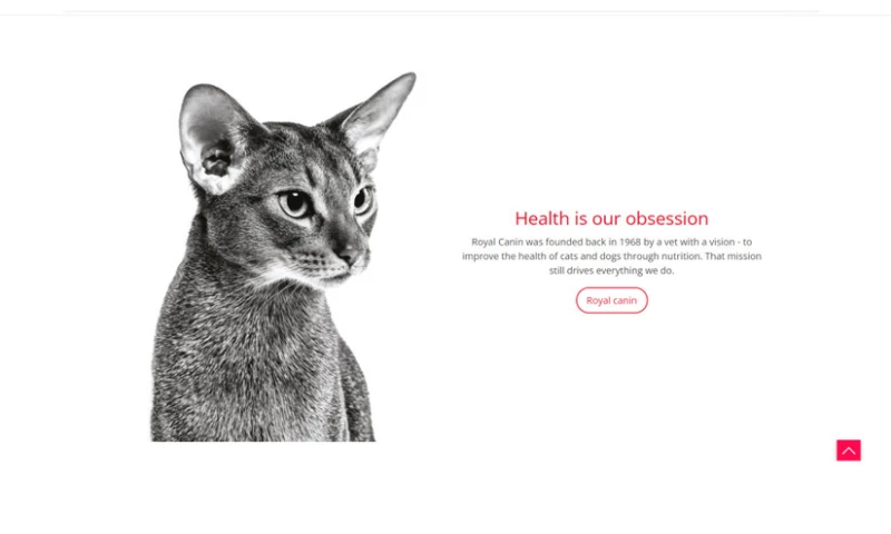 Serious Web - Royal Canin