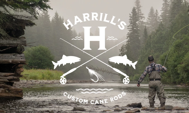 Brand Force 5 - Facebook Cover Image Design