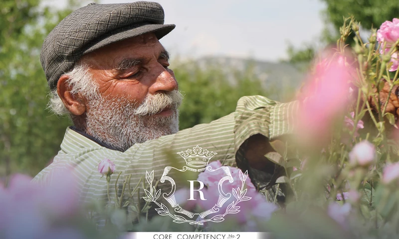 Brand Force 5 - Robertet Poster Designs