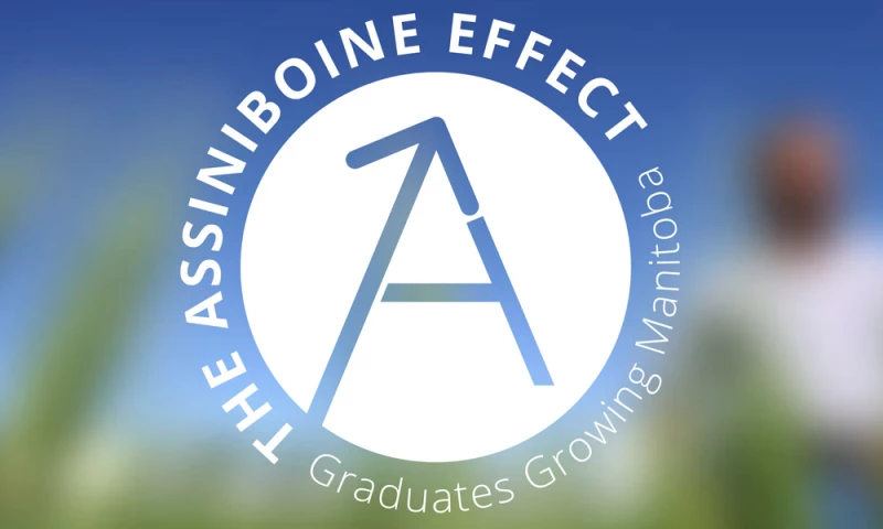 Vibe Creative Group - The Assiniboine Effect