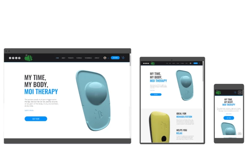 PolyWood Studios - Moi Therapy