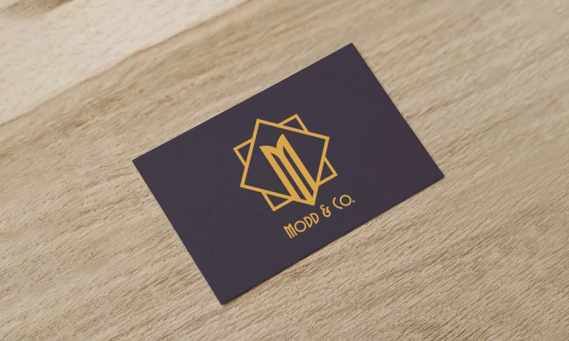 PolyWood Studios - Modd & Co