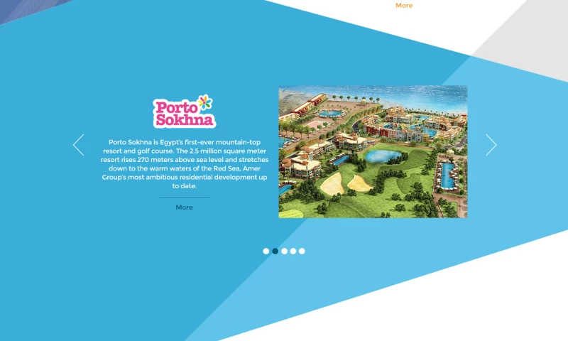 Digitree - Amer Group