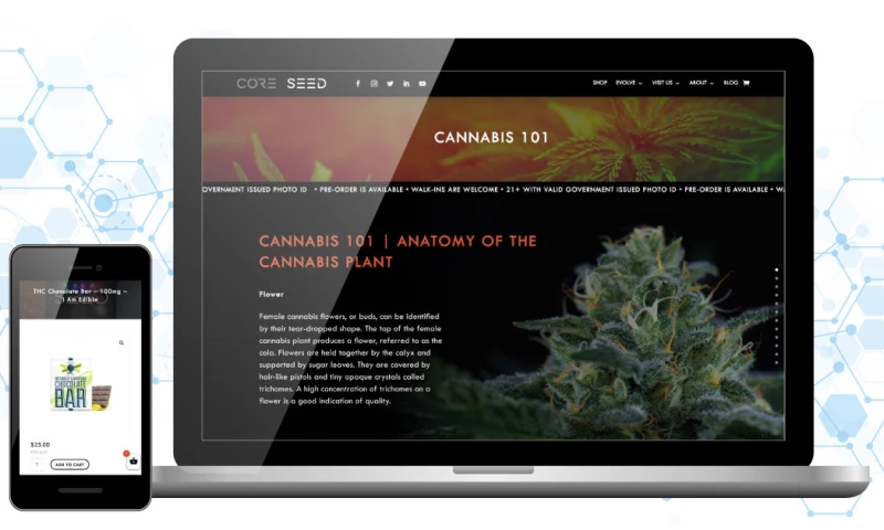 Seed Dispensary + Core Museum