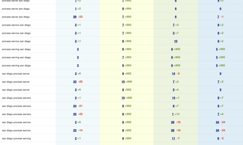SEO On Demand - Client Results - Process Server Company