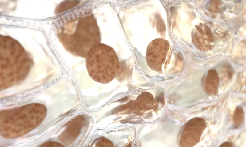 Nanobot Medical Animation - Transdermal Drug Delivery