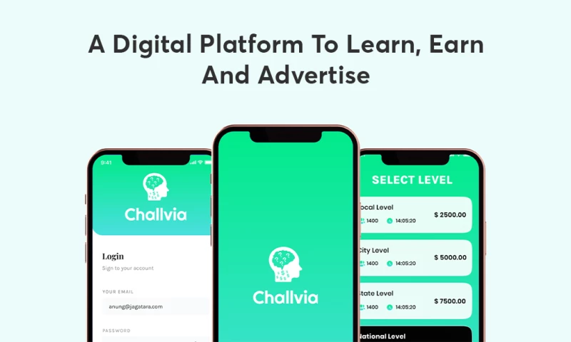 The Gray Bear - A Rewarding Game with Solution for Digital Promotion