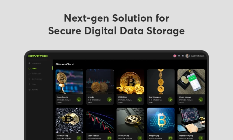 Next-gen Solutions for Secure Digital Storage