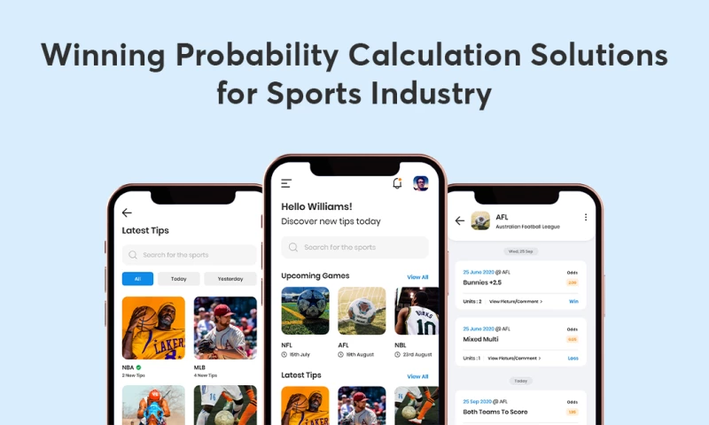 The Gray Bear - Winning Probability Calculation Digital Solution