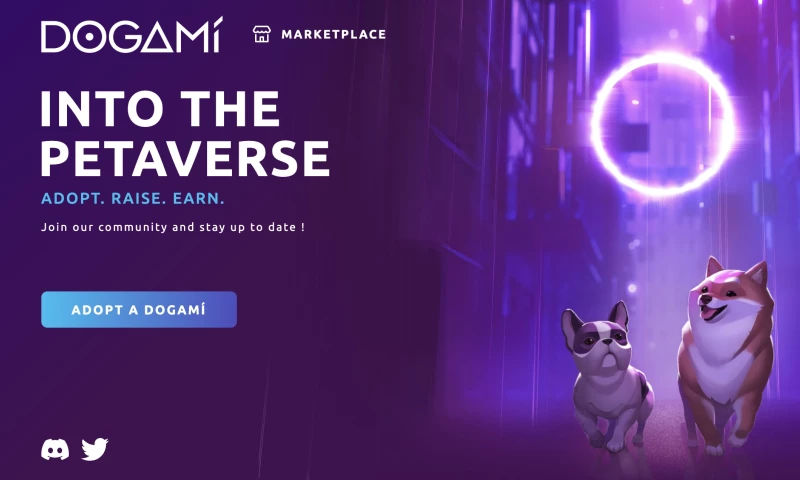 ERA2140 - DOGAMI : A METAVERSE FOR DOG LOVERS