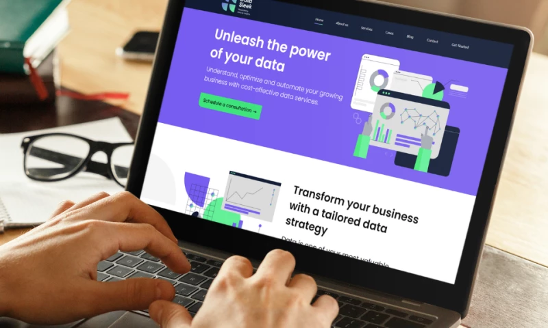 Website Content for a data consulting and management company