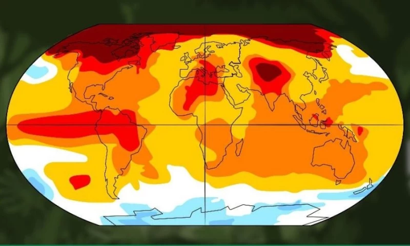 BuzzFlick - Food, Nature, and Climate