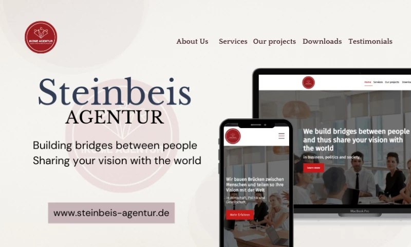 WDI - Steinbeis Agentur