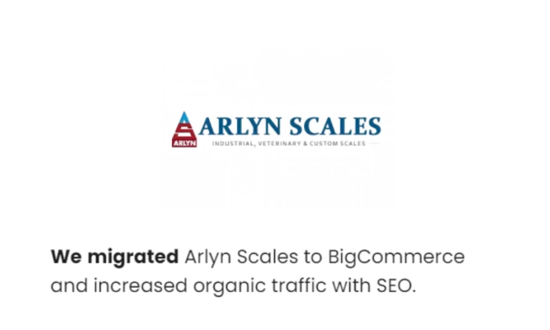 How We Skyrocketed Arlyn Scales Organic Traffic